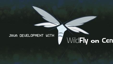 Java-Development-with-WildFly-on-CentOS-7-smg.jpg